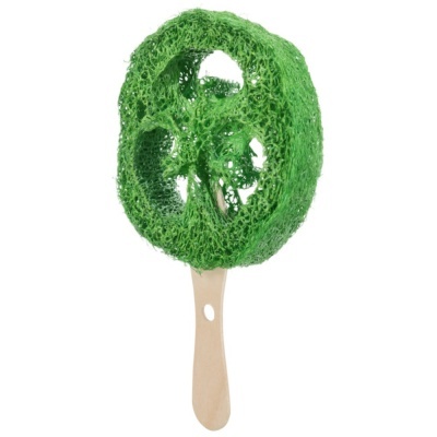 Chupa-Chupa em Lufa/Madeira - TX