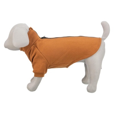 SWEAT "CITYSTYLE AMSTERDAM"