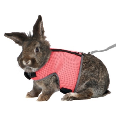 Peitoral C/ Trela Elástica P/ Roedores - TX