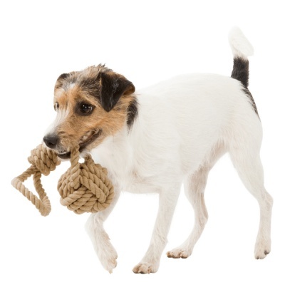 Corda Entrelaçada "BE NORDIC" com Bola e Pega - Trixie