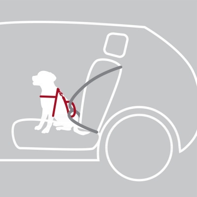 Peitoral de Segurança DOG PROTECT p/Cães (Automóvel) - Trixie