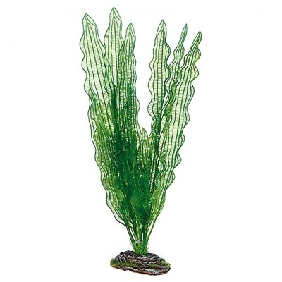 "HOBBY" - PLANTAS SET 1 (KIT 3 PLANTAS)