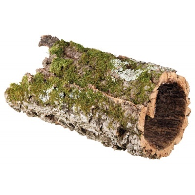 DECORAÇÃO PARA TERRÁRIO - TÚNEL DE CORTIÇA