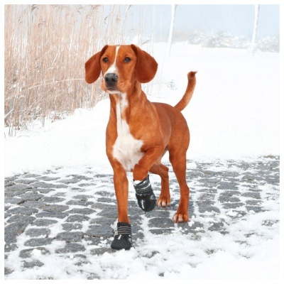 "WALKER ACTIVE" -  BOTA PROTETORA