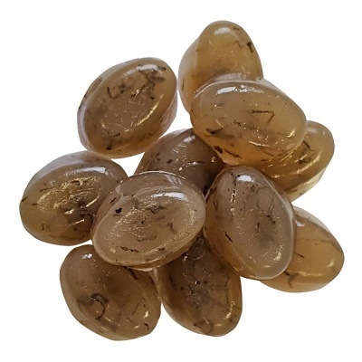 GELO-O-DROPS COM LARVAS DE MOSQUITO - DUPLA