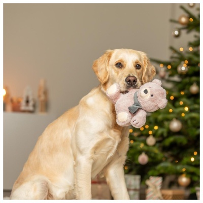 URSO EM PELÚCIA - NATAL