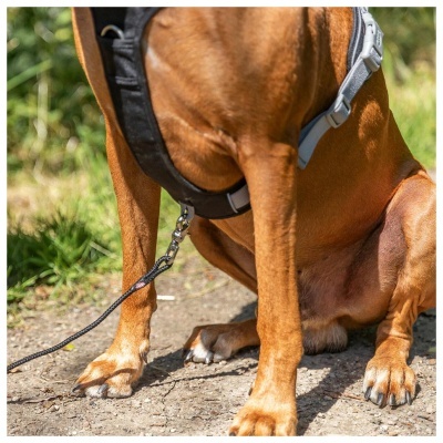 PEITORAL "PREMIUM ACTIVE" (Preto)