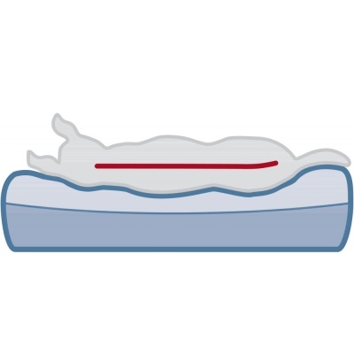 Cama Ortopédica "SAMOA VITAL" - Trixie