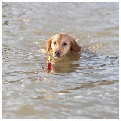 AQUA TOY - BOIA AQUÁTICA EM BORRACHA TPR COM CORDA (Especial Verão)