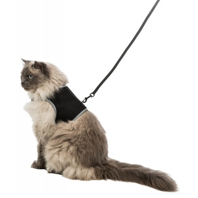 PEITORAL E TRELA XXL PARA GATOS