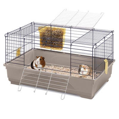 Gaiola Cavia Easy 80 - IM