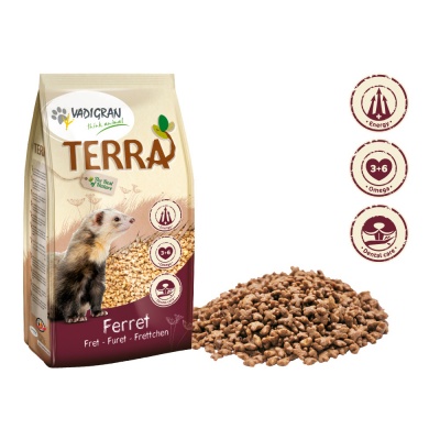 Terra -  Alimento Premium para Furões - VA
