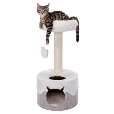 Arranhadores  Pequenos