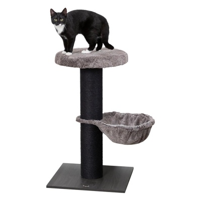 ARRANHADOR "MAURÍCIO"