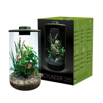 BIOART CYLINDER - NANO TERRÁRIO