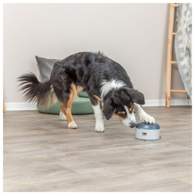 JOGO "BUZZER" PARA CÃES