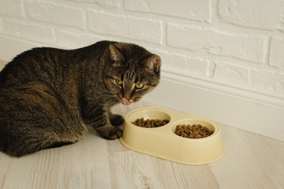 Ração Gato Esterilizado