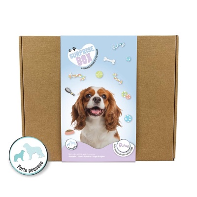 SURPRISE BOX CÃO (Porte Pequeno/Médio)