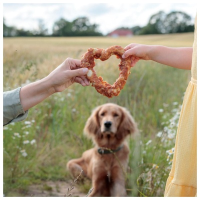 DENTAFUN "VALENTINE" COM FRANGO