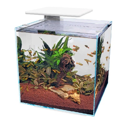 SUPERFISH - AQUÁRIO QUBIQ