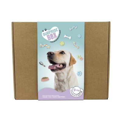 SURPRISE BOX CÃO (Porte Grande)