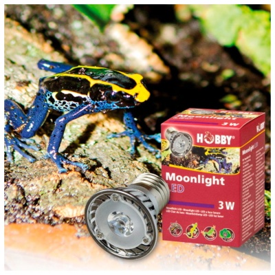 HOBBY - MOONLIGHT LED (LUZ LUAR)