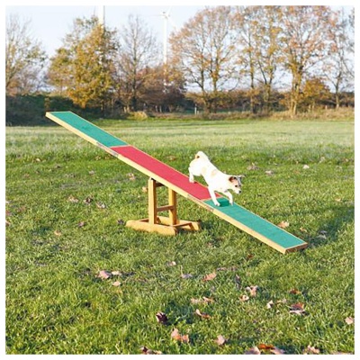 BALANCÉ PARA AGILITY