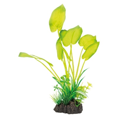 PLANTAS ARTIFICIAIS PARA AQUÁRIO - "ECHINODORUS"