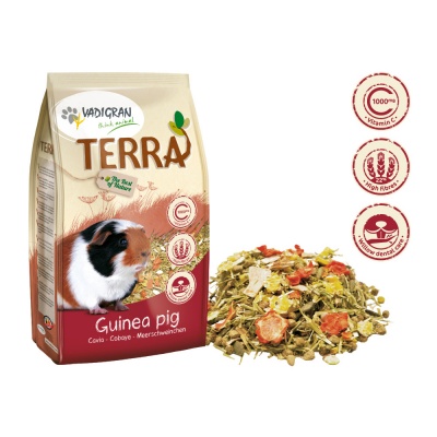 Terra -  Alimento Premium para Porquinhos -Da -Índia - VA