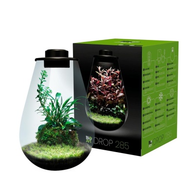 BIOART DROP - NANO TERRÁRIO