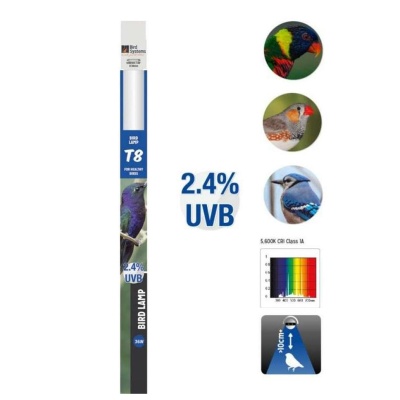 LÂMPADA FLUORESCENTE "BIRD LAMP/BIRD SYSTEMS"