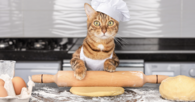 Snacks, Biscoitos e Patés