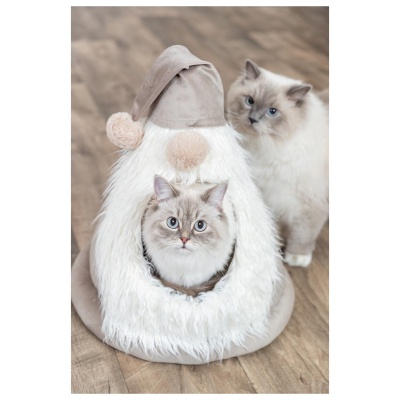 GRUTA "CABEÇA DE ANÃO" - NATAL