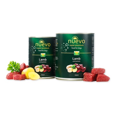 "NUEVO" Cão Adulto - Cordeiro e Batata