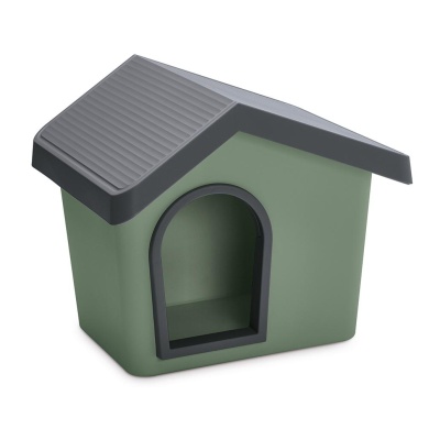 CASOTA "ZEUS SECOND LIFE"