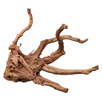 RAIZ TANGANYIKA PARA AQUÁRIO