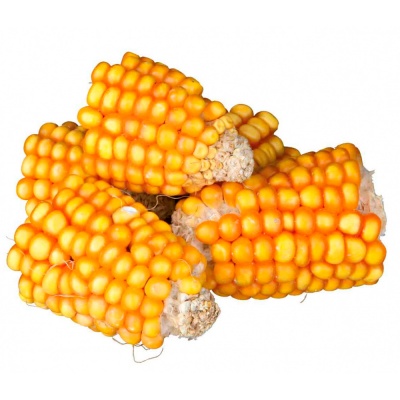 NATURSNACK - Pedaços de Espigas Milho - TX