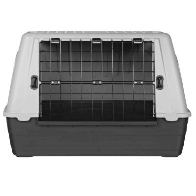 TRANSPORTADORA "JOURNEY" Auto