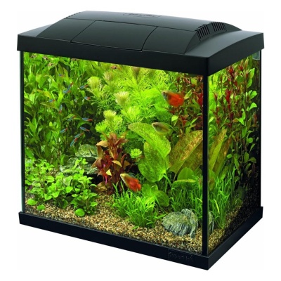 SUPERFISH - AQUÁRIO START (PRETO)