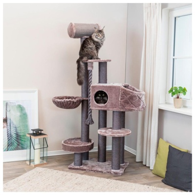 ARRANHADOR "ANDREAS XXL"