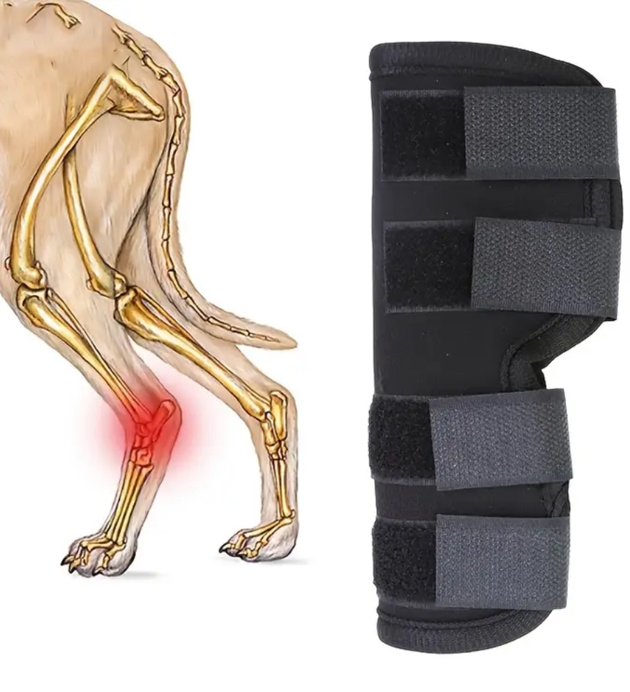 Protecção ortopédica patas traseiras 2 unidades Protecção ortopédica patas traseiras 2 unidades