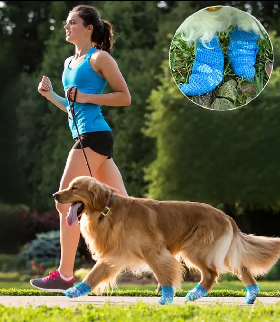 Ligaduras elásticas Autoadesivas Ligaduras elásticas Autoadesivas