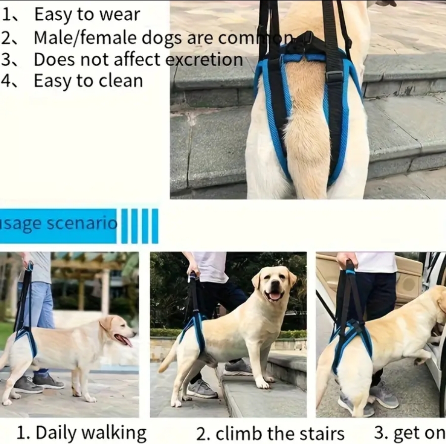 Cinto auxiliar patas traseiras ,4 tamanhos Cinto auxiliar patas traseiras ,4 tamanhos