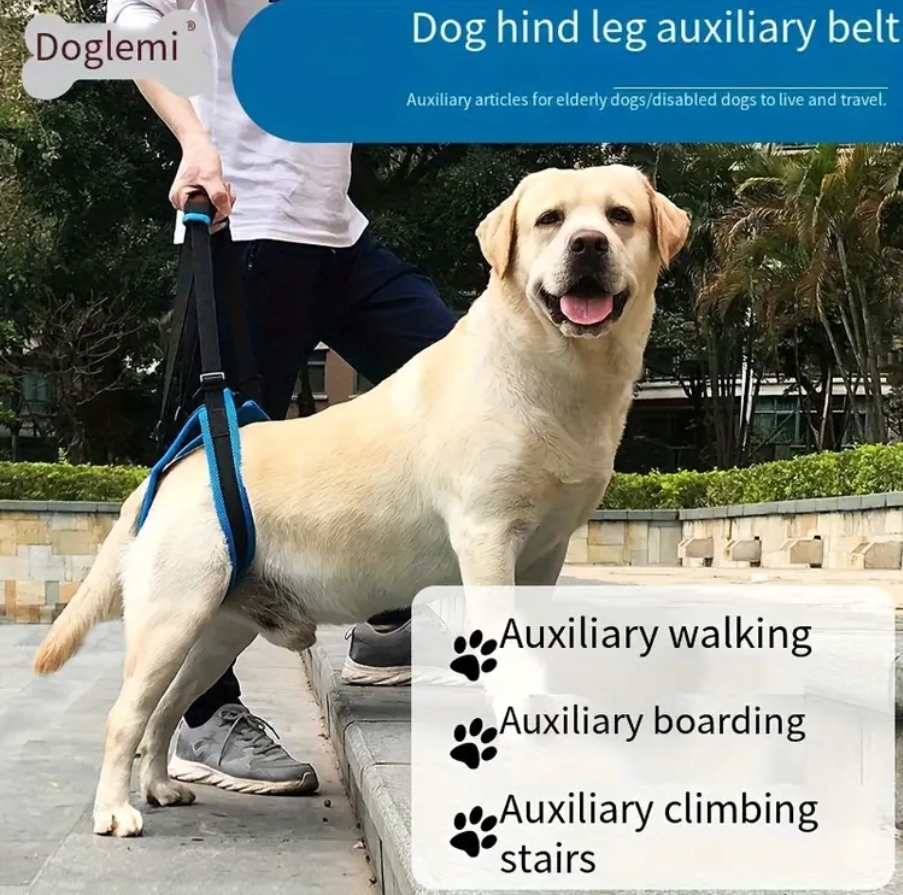 Cinto auxiliar patas traseiras ,4 tamanhos Cinto auxiliar patas traseiras ,4 tamanhos