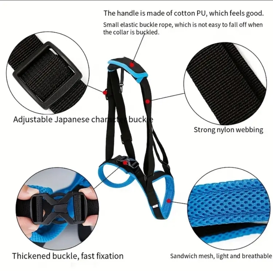 Cinto auxiliar patas traseiras ,4 tamanhos Cinto auxiliar patas traseiras ,4 tamanhos