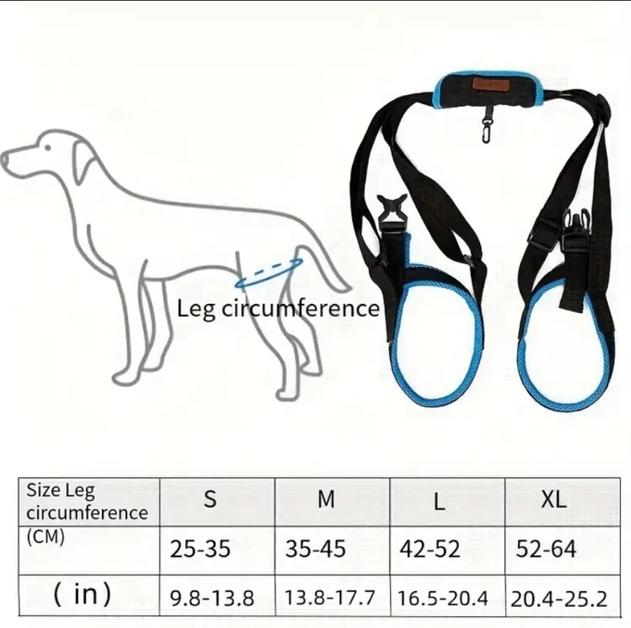Cinto auxiliar patas traseiras ,4 tamanhos Cinto auxiliar patas traseiras ,4 tamanhos