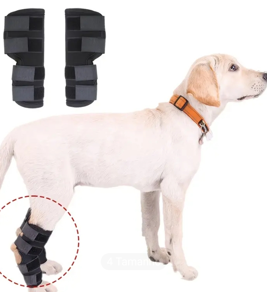 Protecção ortopédica patas traseiras 2 unidades Protecção ortopédica patas traseiras 2 unidades