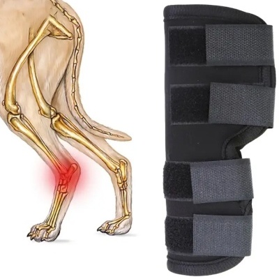 Protecção ortopédica patas traseiras 2 unidades