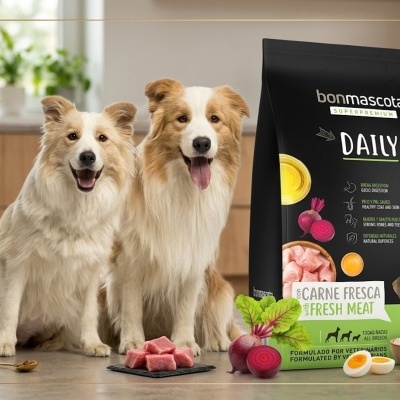 Alimentação Daily Bonmascota 20kg carne fresca