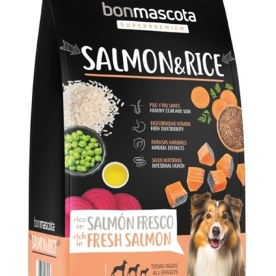 Alimentação Salmão & Arroz 20Kg -Peixe Fresco 26%/14%